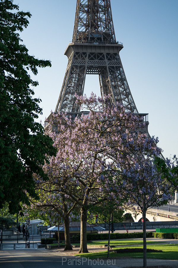 Eiffel-Tour-Spring