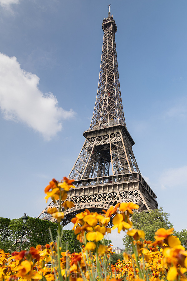 Eiffel-Tower-Spring